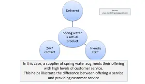 ccustomer service example