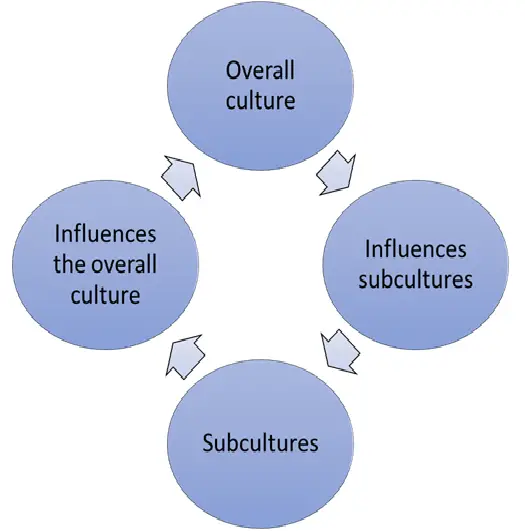 culture and subculture relationship cycle