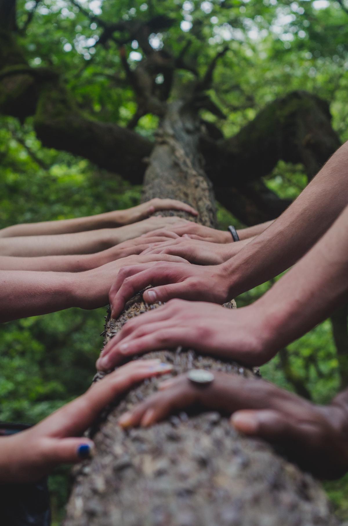 A group of people holding hands and celebrating success, representing the impact of marketing rewards on customer habits.