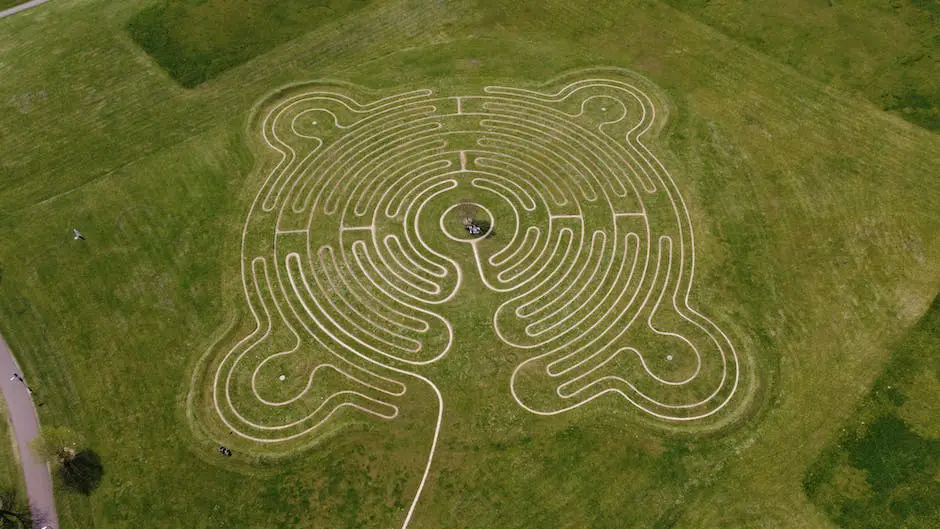 Illustration of a person navigating through a maze of products, symbolizing the significance of product leadership for a brand's success and market dominance.