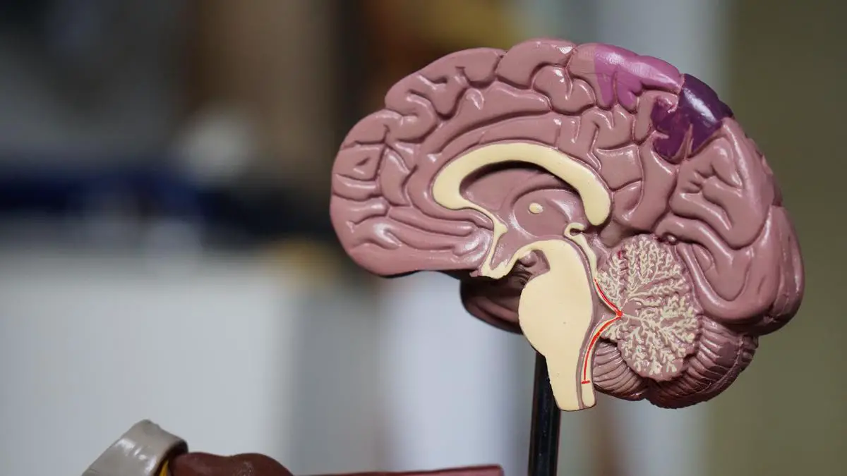 Image depicting a person's brain with arrows and colorful lights symbolizing subconscious cues influencing purchasing decisions.